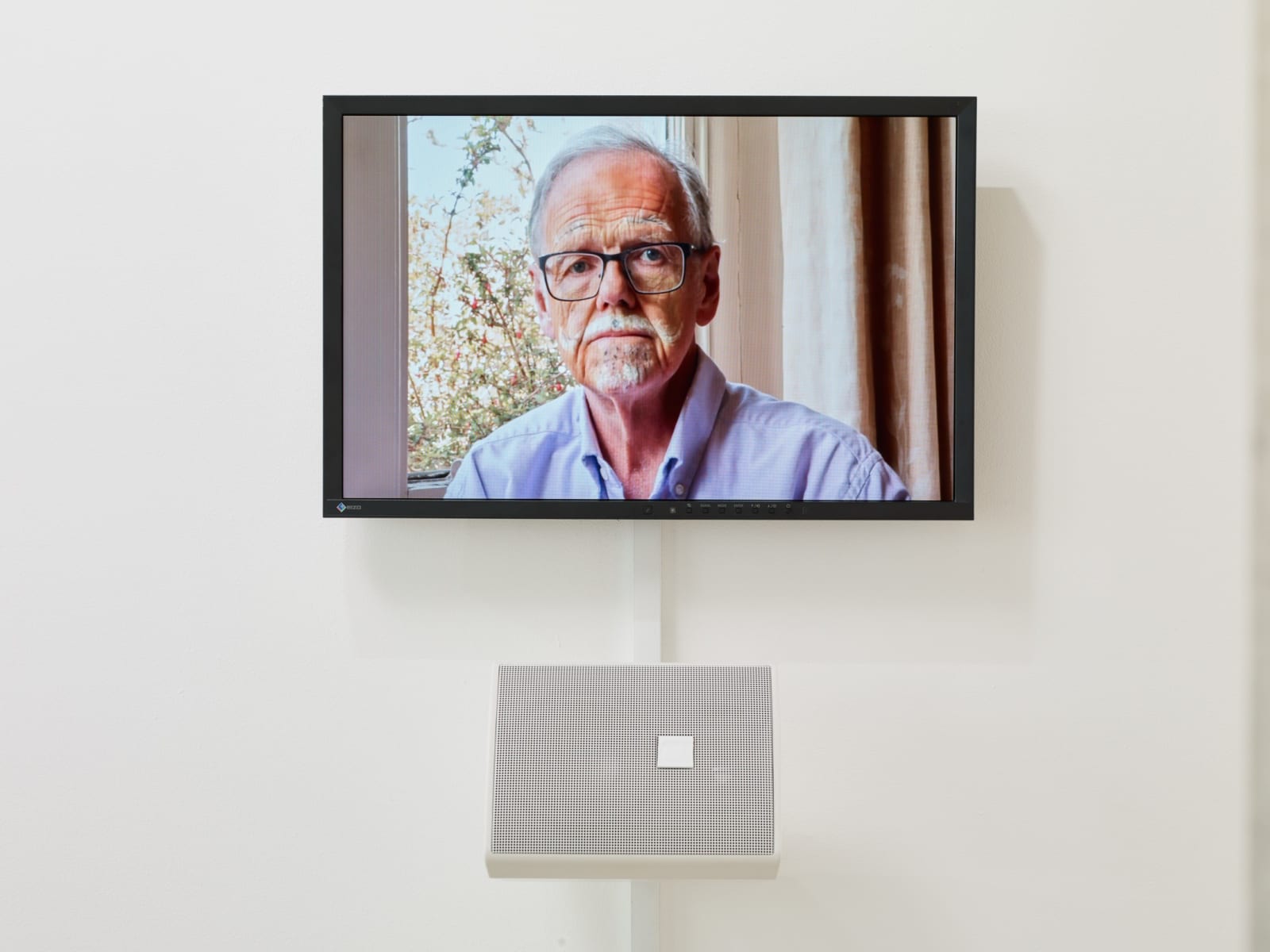 DAPHNE WRIGHT, Is everyone ok?, 2019