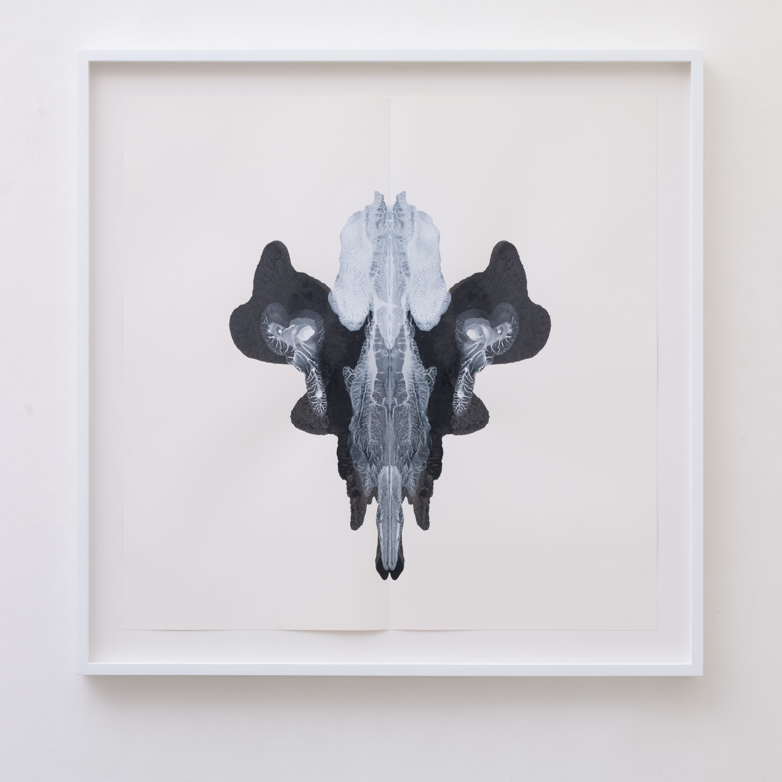 CORNELIA PARKER, Poison and Antidote Drawing, 2012