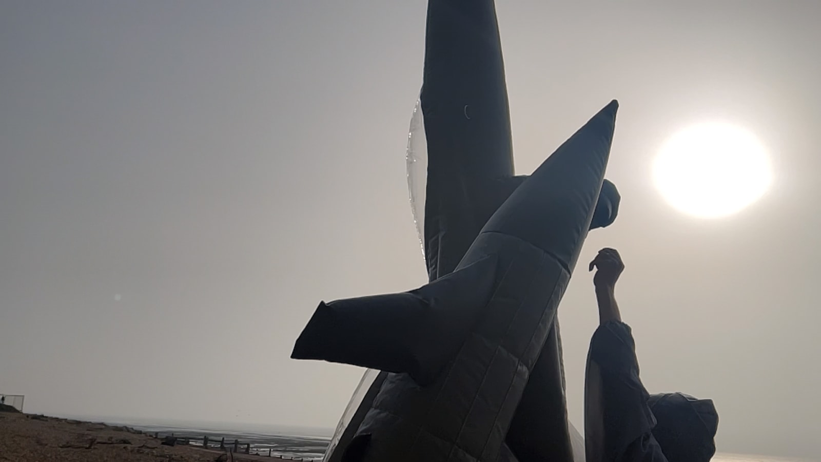 FIONA BANNER AKA THE VANITY PRESS, Pranayama Organ, 2021