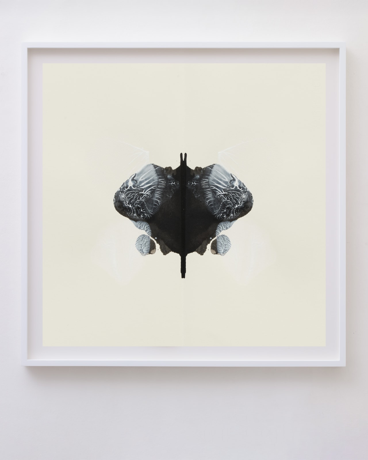 CORNELIA PARKER, Poison and Antidote Drawing, 2010 (Series)
