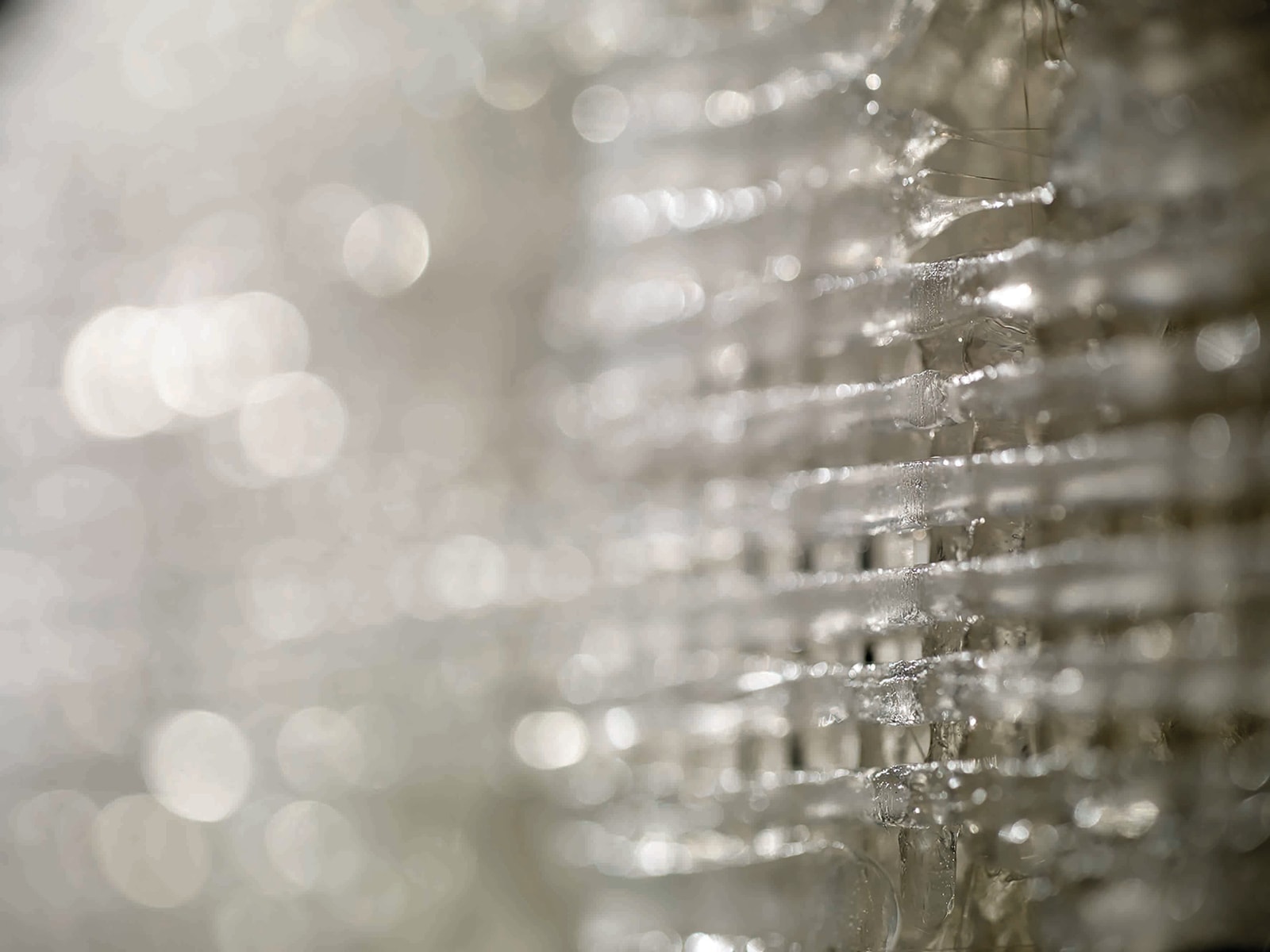 RAQS MEDIA COLLECTIVE, Alive, with Cerrussite and Peppered Moth, 2017