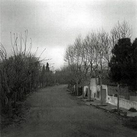 Craigie Horsfield, Sant Adria de Besos, Barcelona . March 1996, 2000