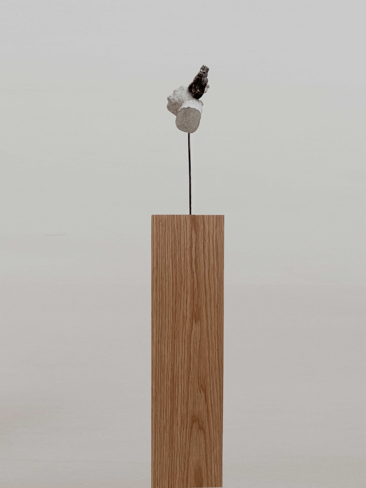 SHILPA GUPTA, Untitled, 2022