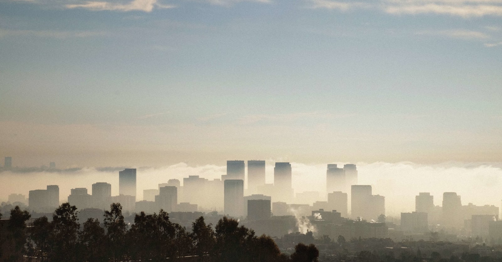 FIONA TAN, Elsewhere, 2018