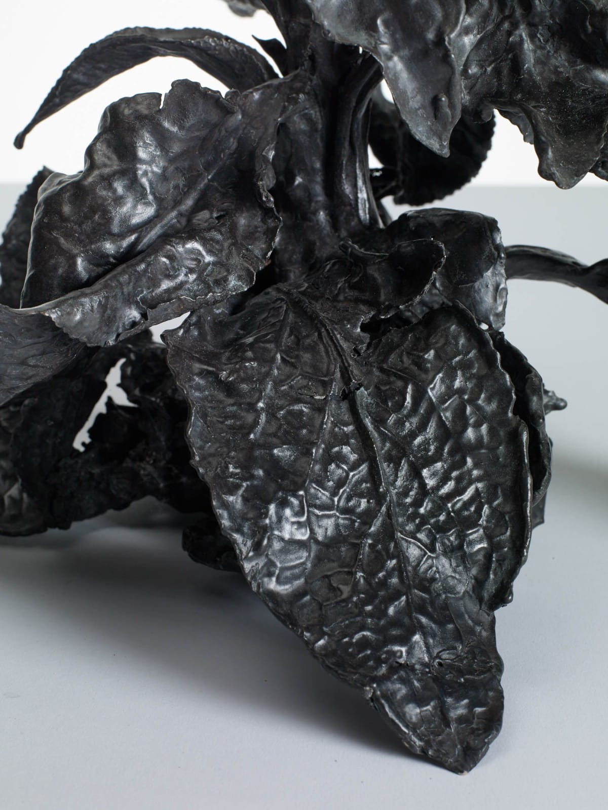 DOROTHY CROSS, Foxglove, 2020