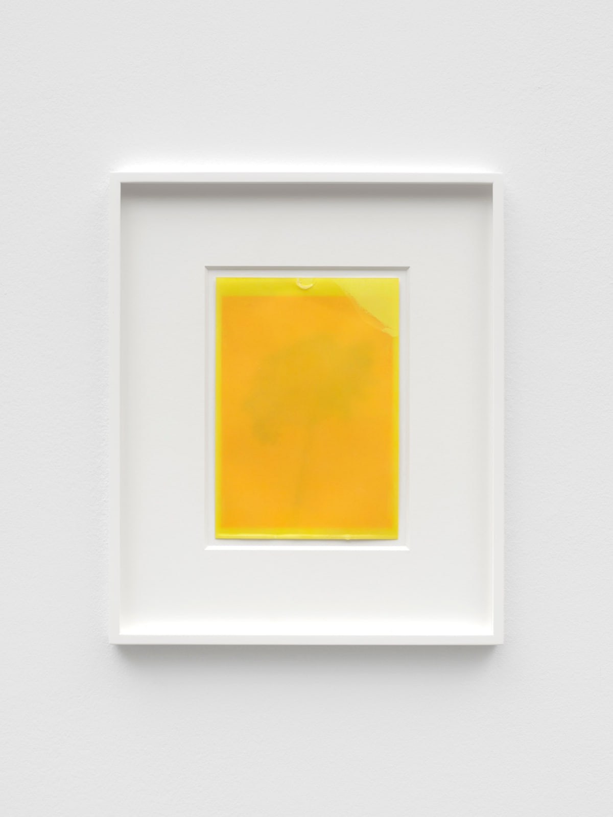 ANNA BARRIBALL, Amber (tree shadow) I, 2023