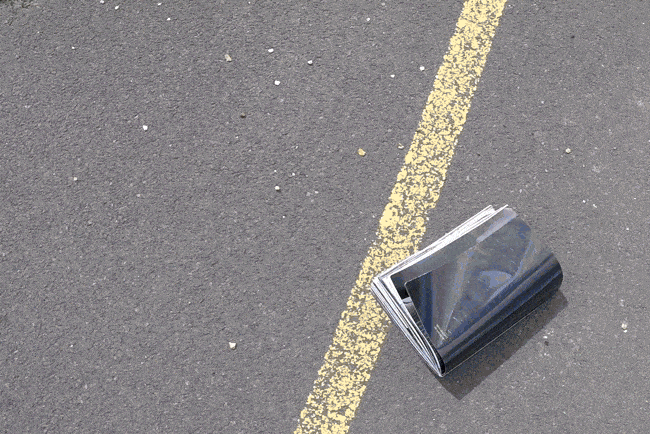 FIONA BANNER AKA THE VANITY PRESS, Phantom, 2015