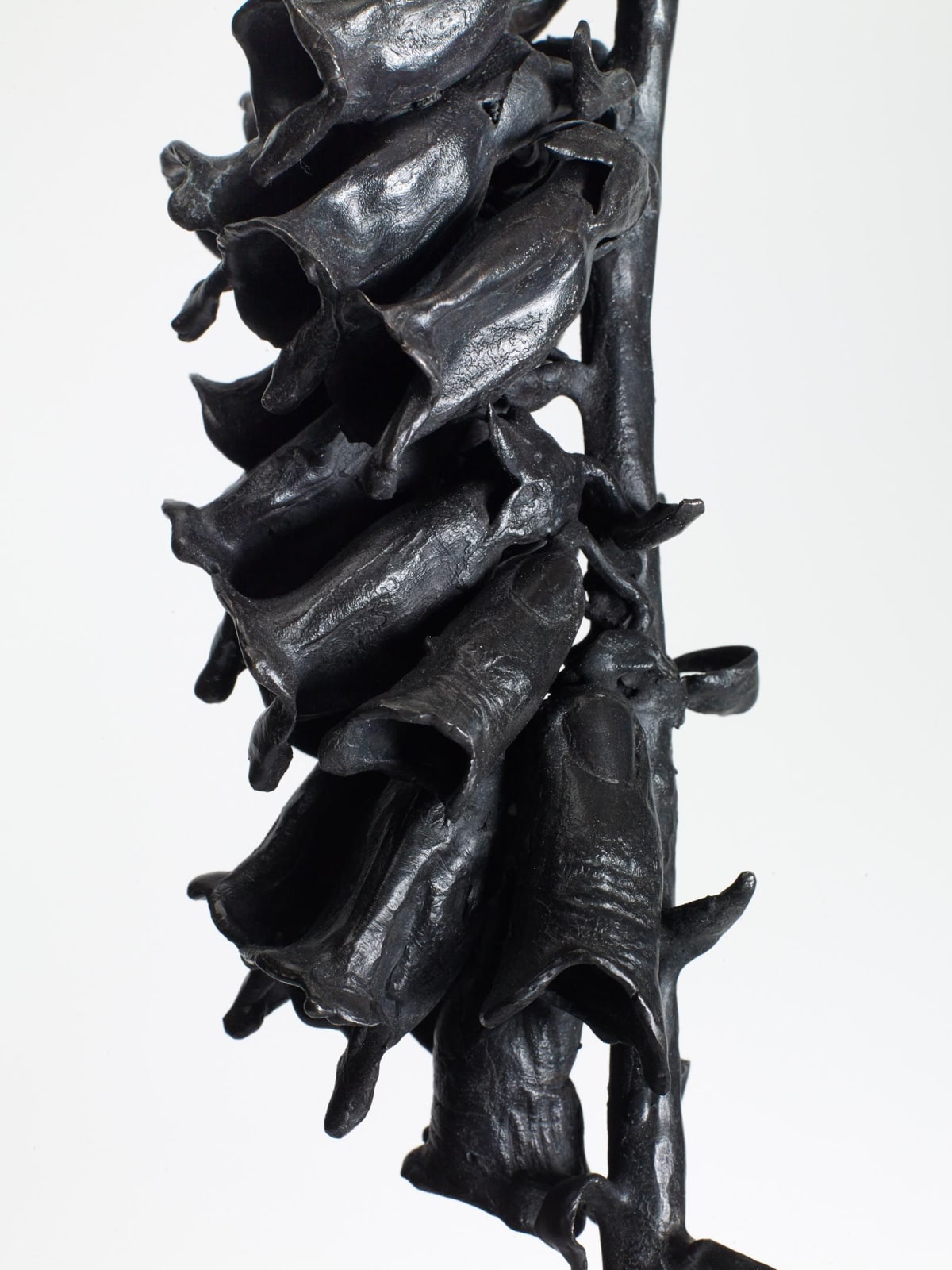 DOROTHY CROSS, Foxglove, 2020