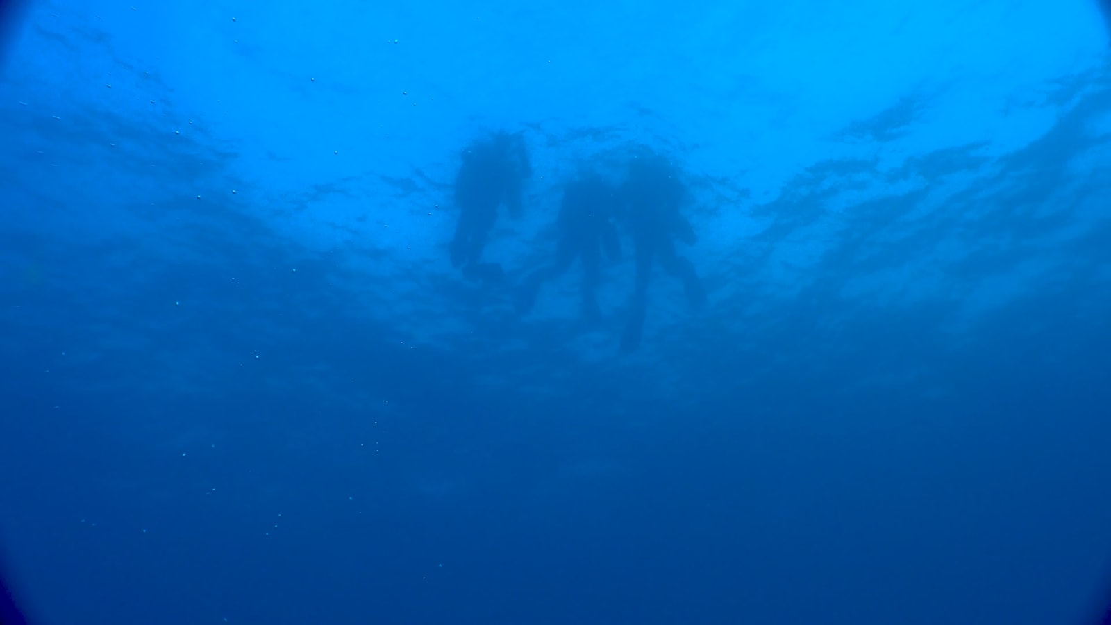 RAQS MEDIA COLLECTIVE, Deep Breath, 2019/22