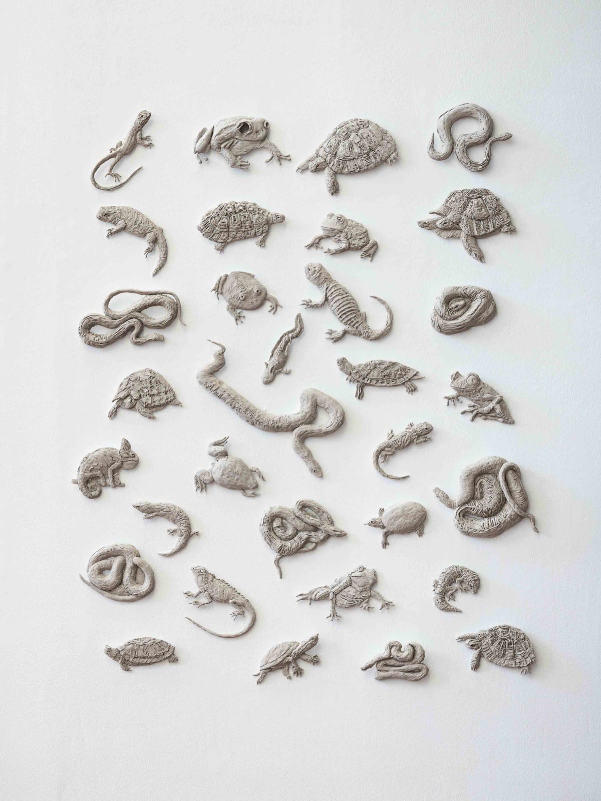 DAPHNE WRIGHT, Pet Amphibians and Reptiles, 2019