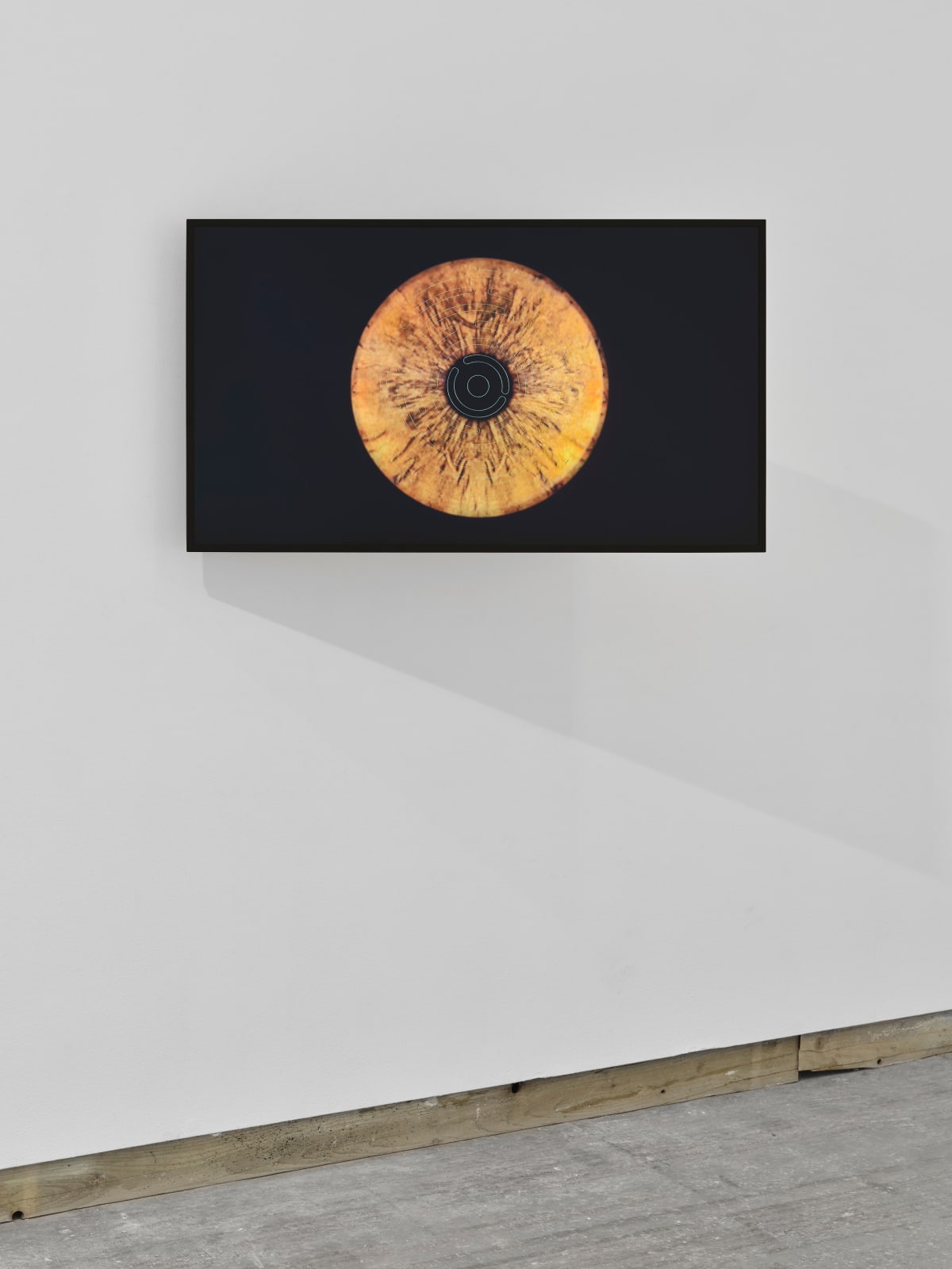 RAQS MEDIA COLLECTIVE, Unruly Iris of Dissent (U.I.D 2), 2023