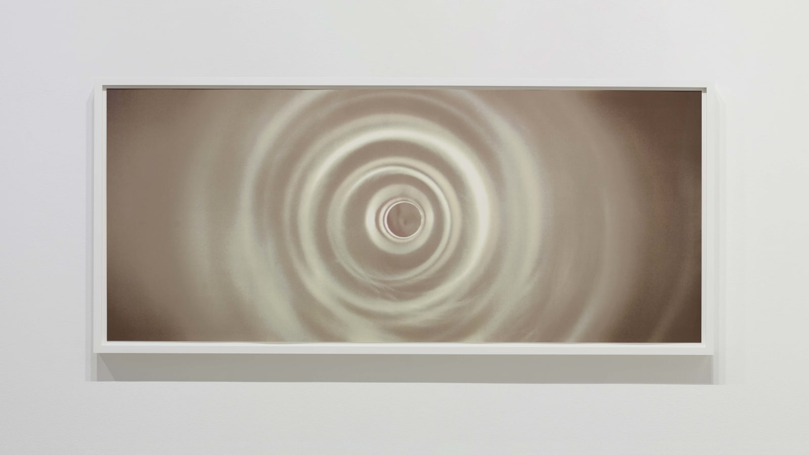 TACITA DEAN, Paradise (screen prints), 2021