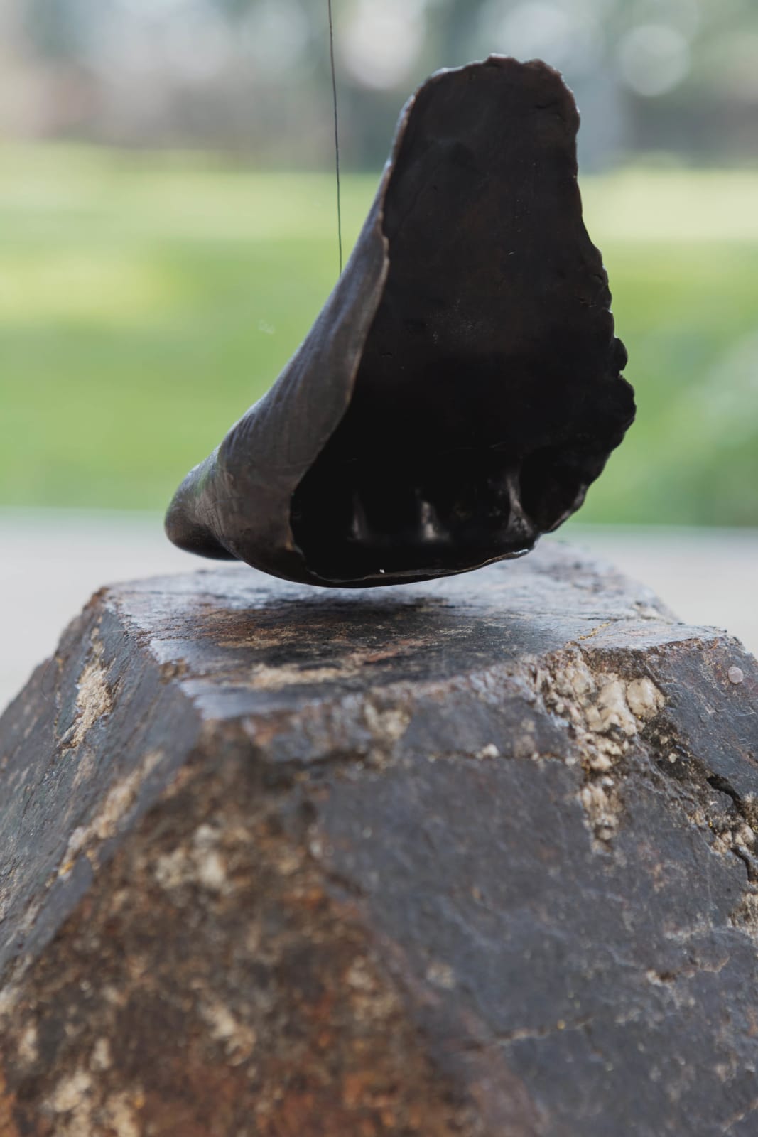 DOROTHY CROSS, Tread Lightly, 2017