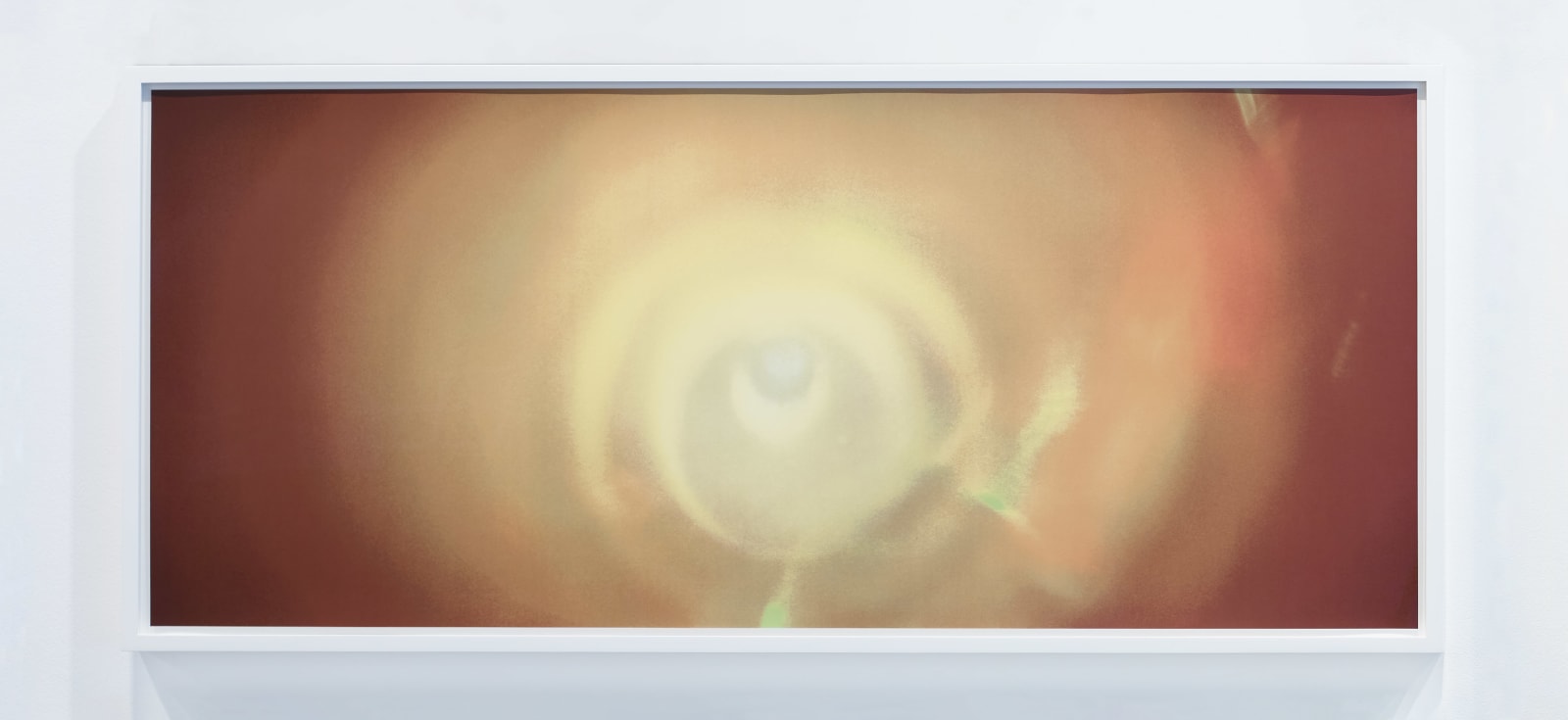 TACITA DEAN, Paradise (screen prints), 2021