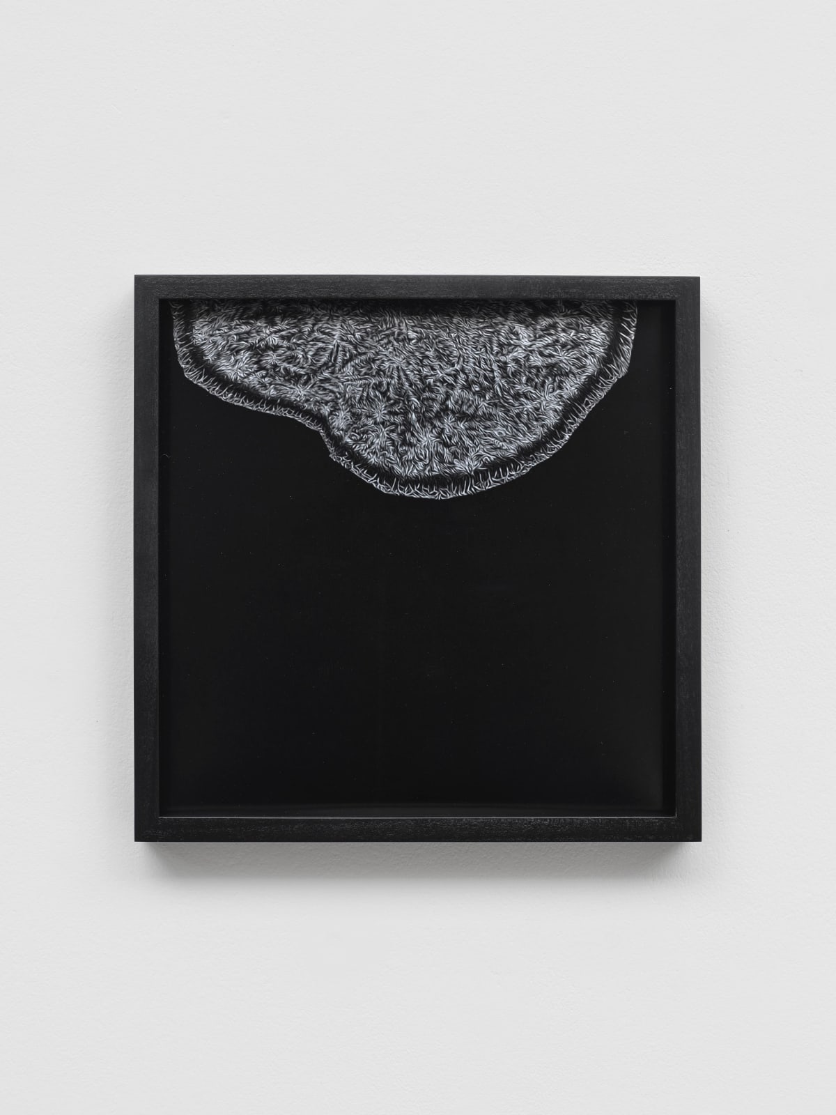 RAQS MEDIA COLLECTIVE, Delta 1 - 4, 2023–24