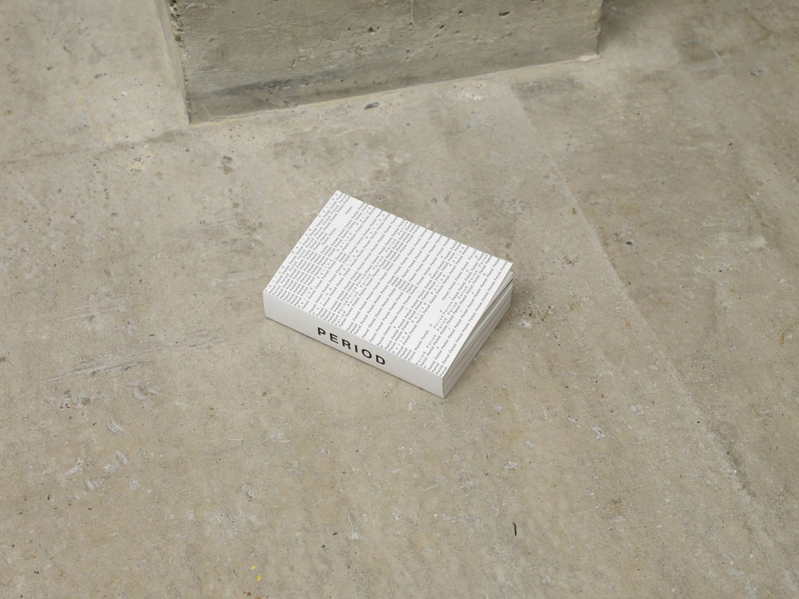 FIONA BANNER AKA THE VANITY PRESS, Audiobook (period) (exhibition copy), 2019