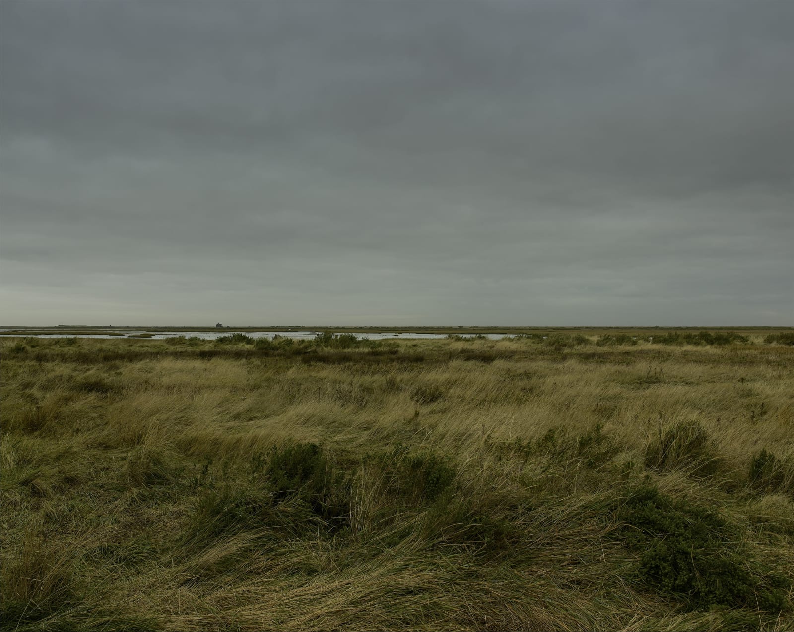 JOHN RIDDY, Blakeney, 2021–22, (Series)