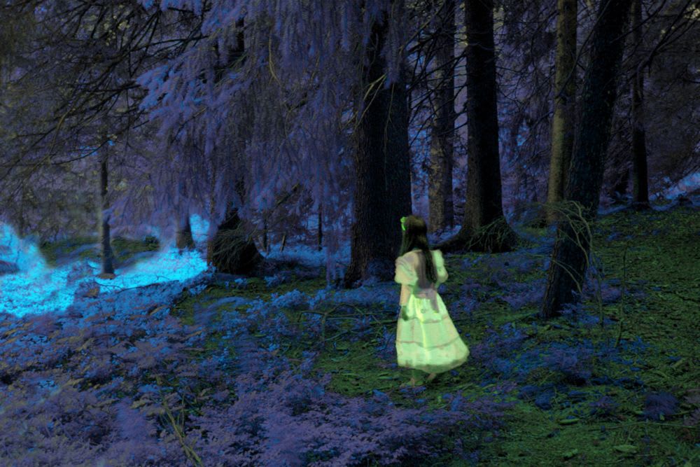 Annelies Strba, Wonder (Nyima 279), 2006