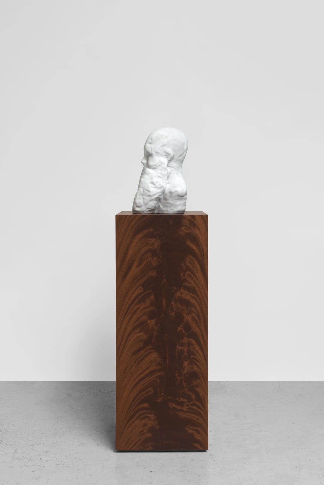 DANIEL SILVER, Untitled, 2021