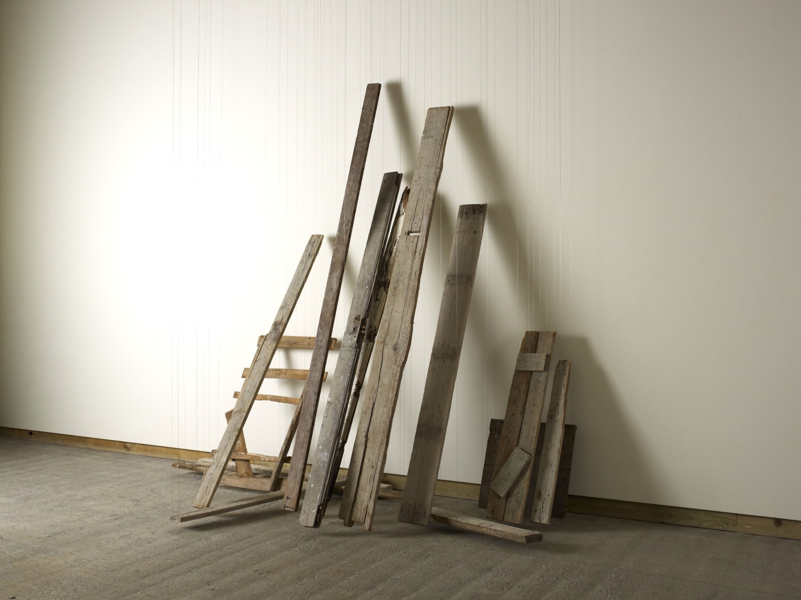 CORNELIA PARKER, Unsettled, 2012 - 2013