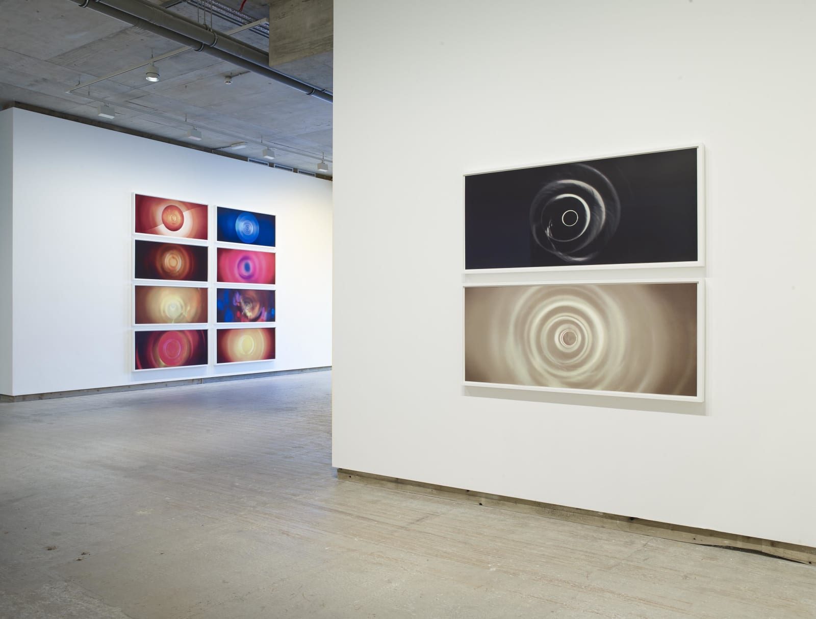 TACITA DEAN, Paradise (screen prints), 2021