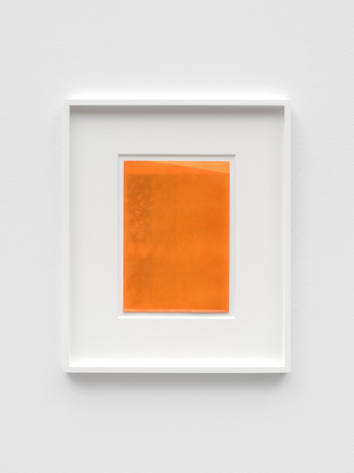ANNA BARRIBALL, Amber (tree shadow) V, 2023