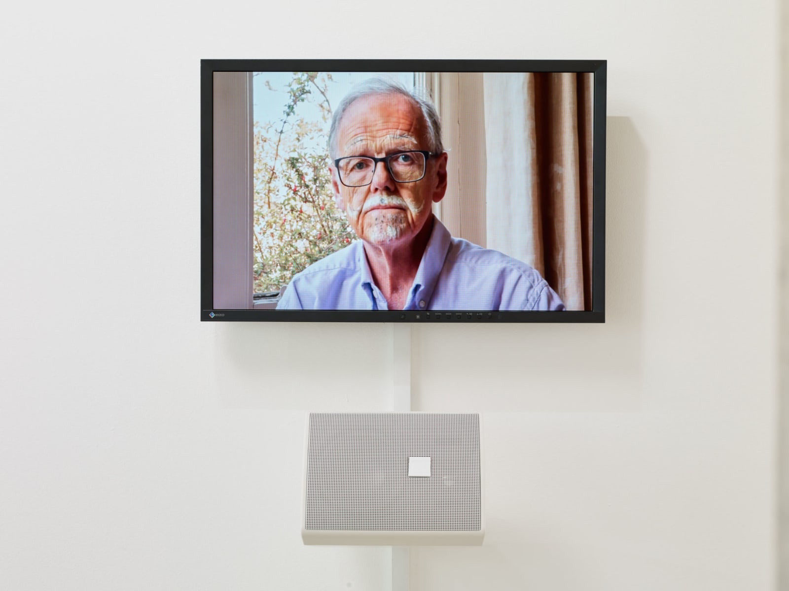 DAPHNE WRIGHT, Is everyone ok?, 2019