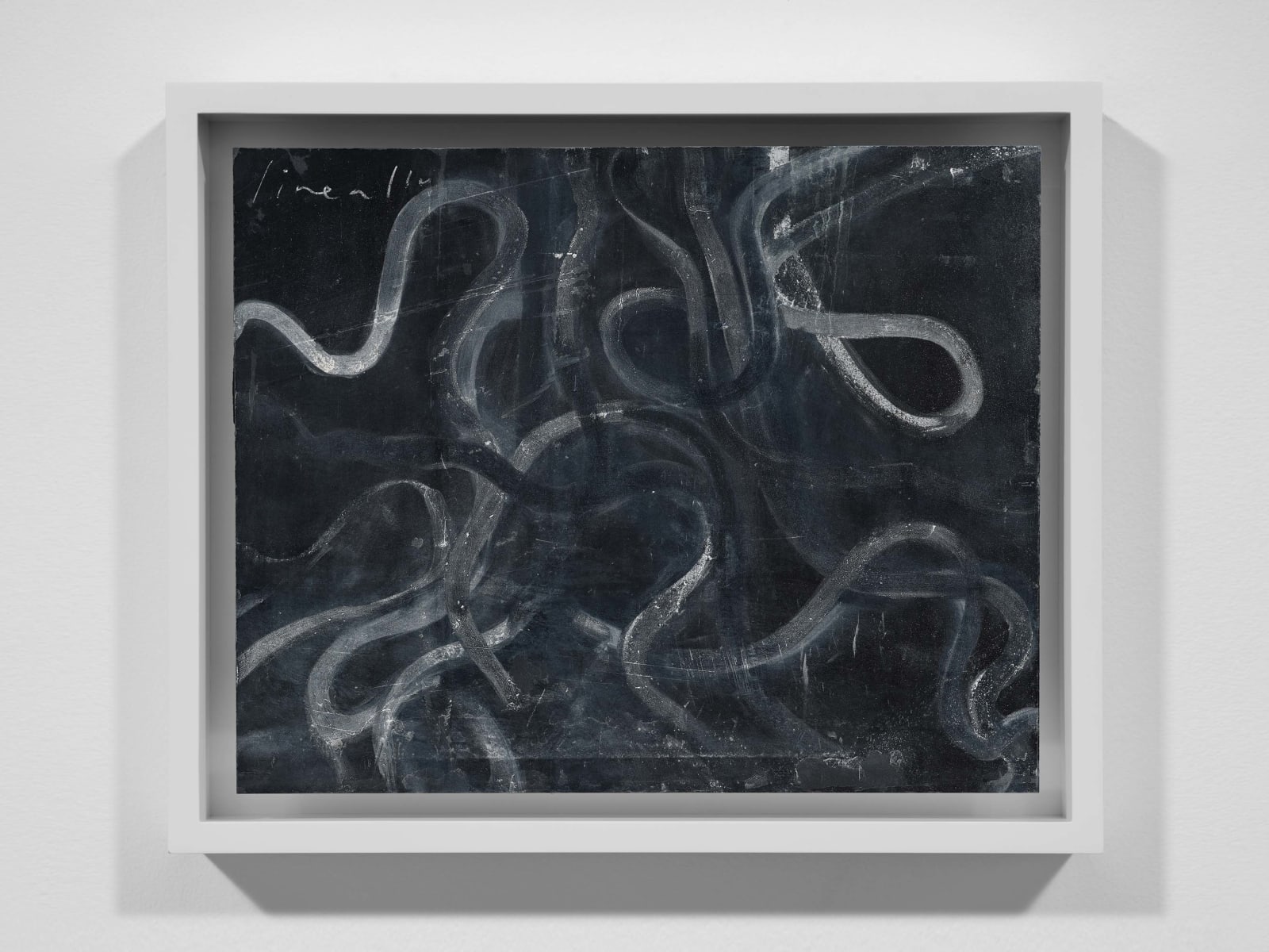 TACITA DEAN, Lineally, 2025