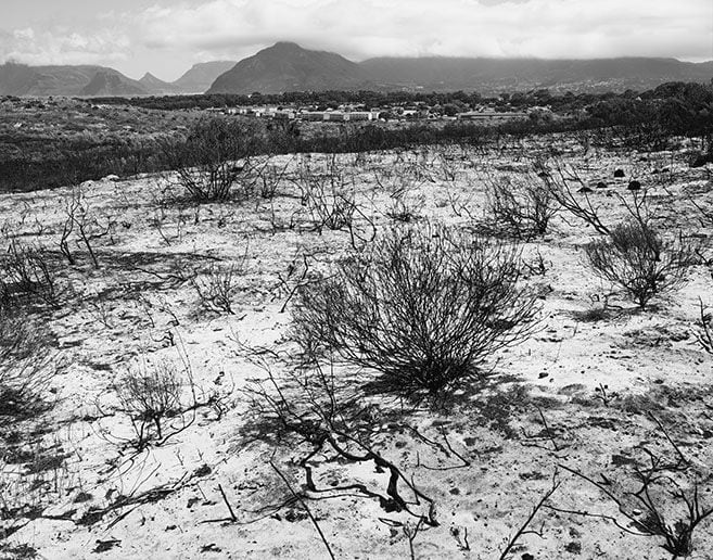 JOHN RIDDY, Peninsula (Ocean View 5), 2015