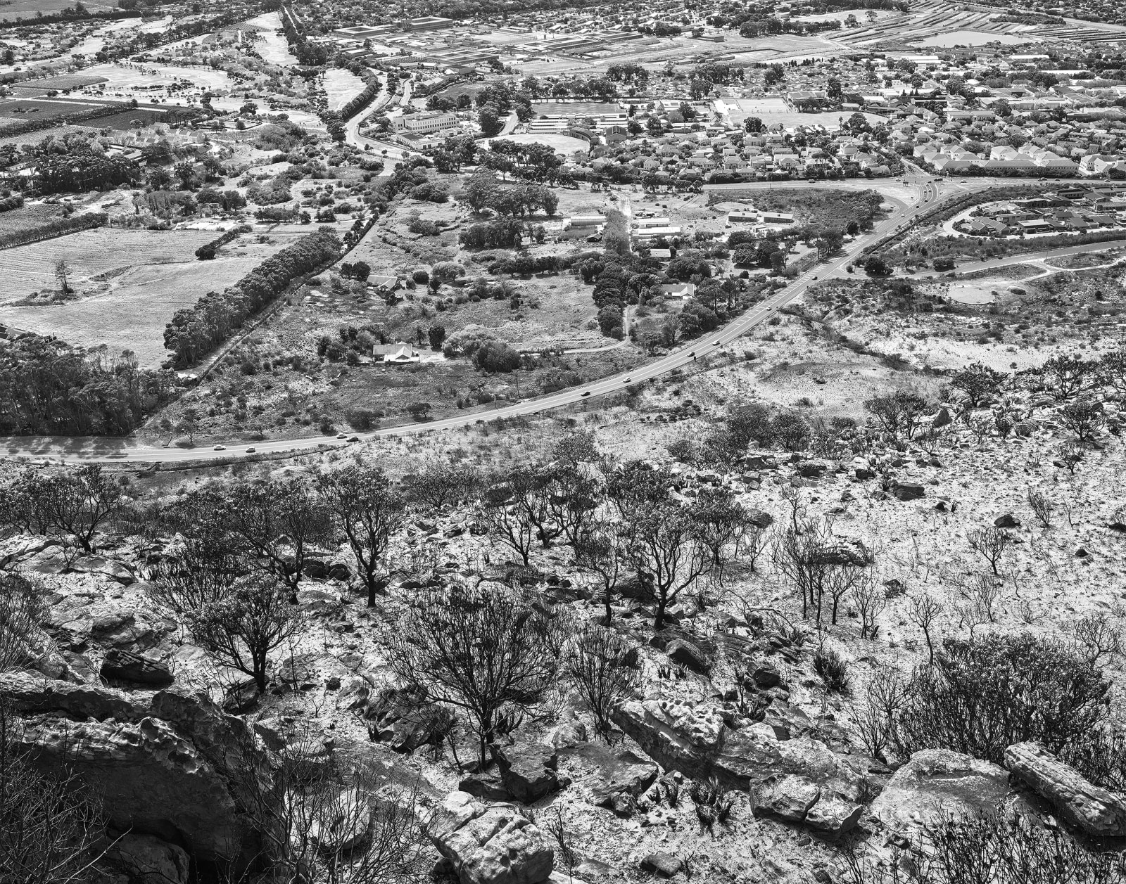 JOHN RIDDY, Peninsula (Silvermine 2), 2015