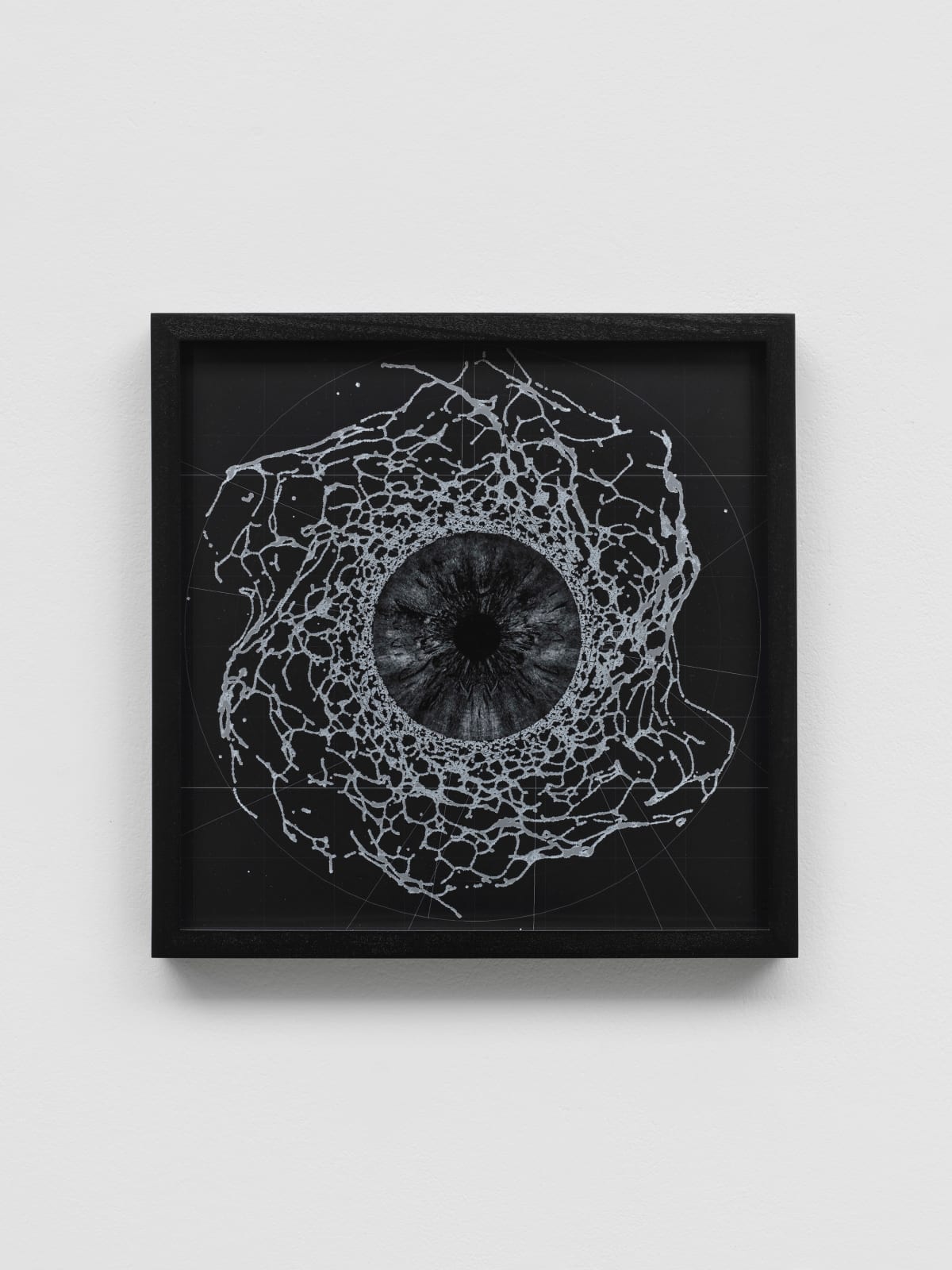 RAQS MEDIA COLLECTIVE, Delta 1 - 4, 2023–24