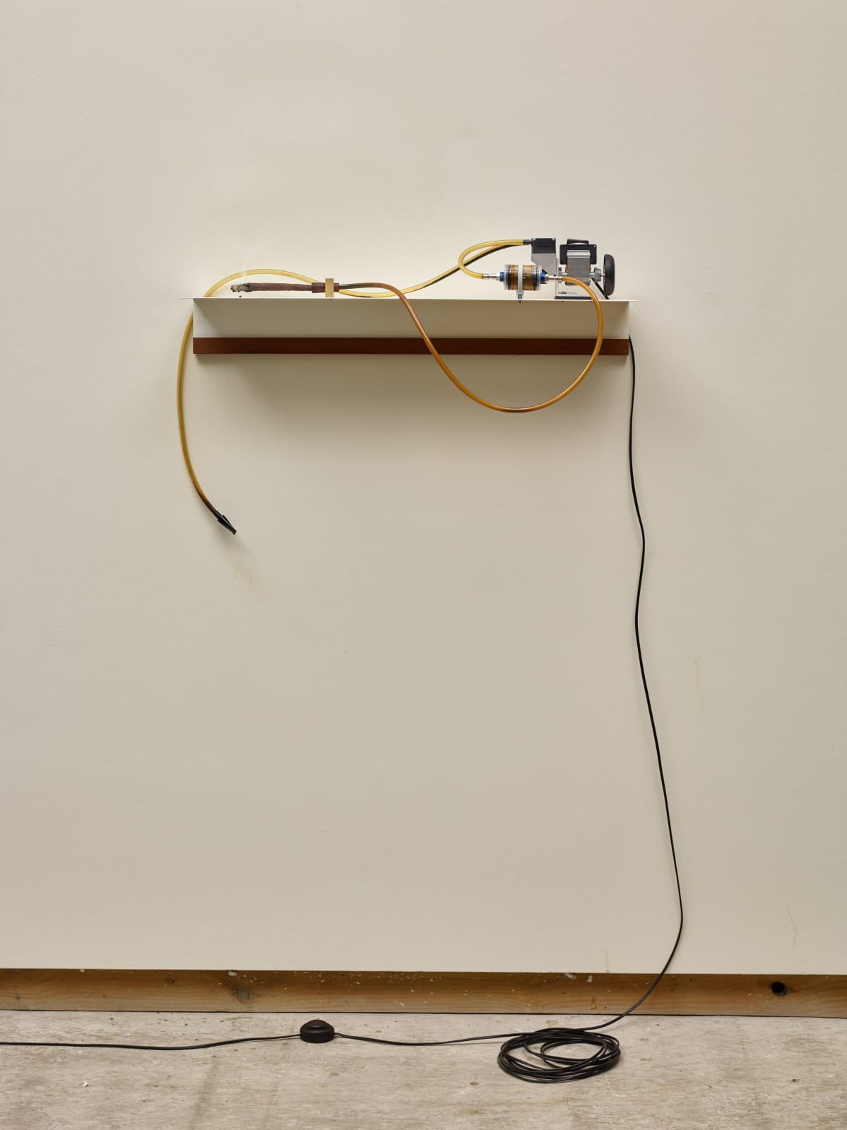 MASSIMO BARTOLINI, Toscano, 2016