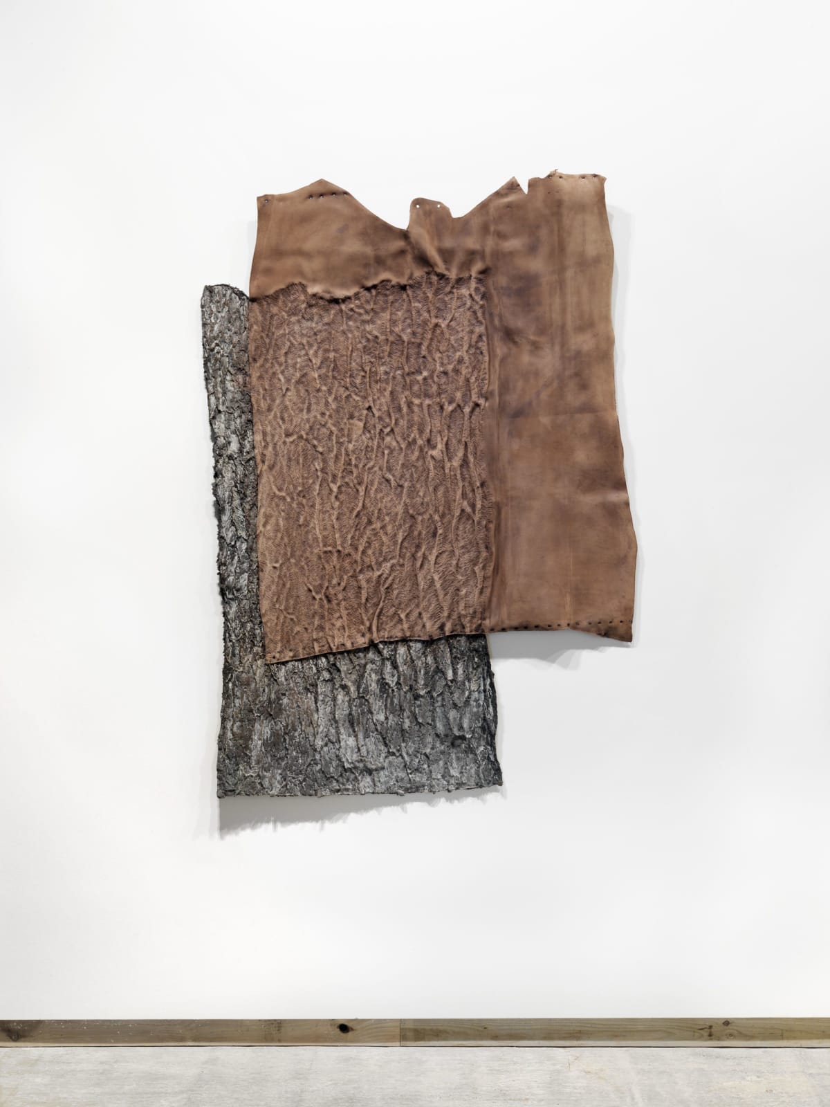 Giuseppe Penone, Lo spazio della scultura, corteccia, 2004