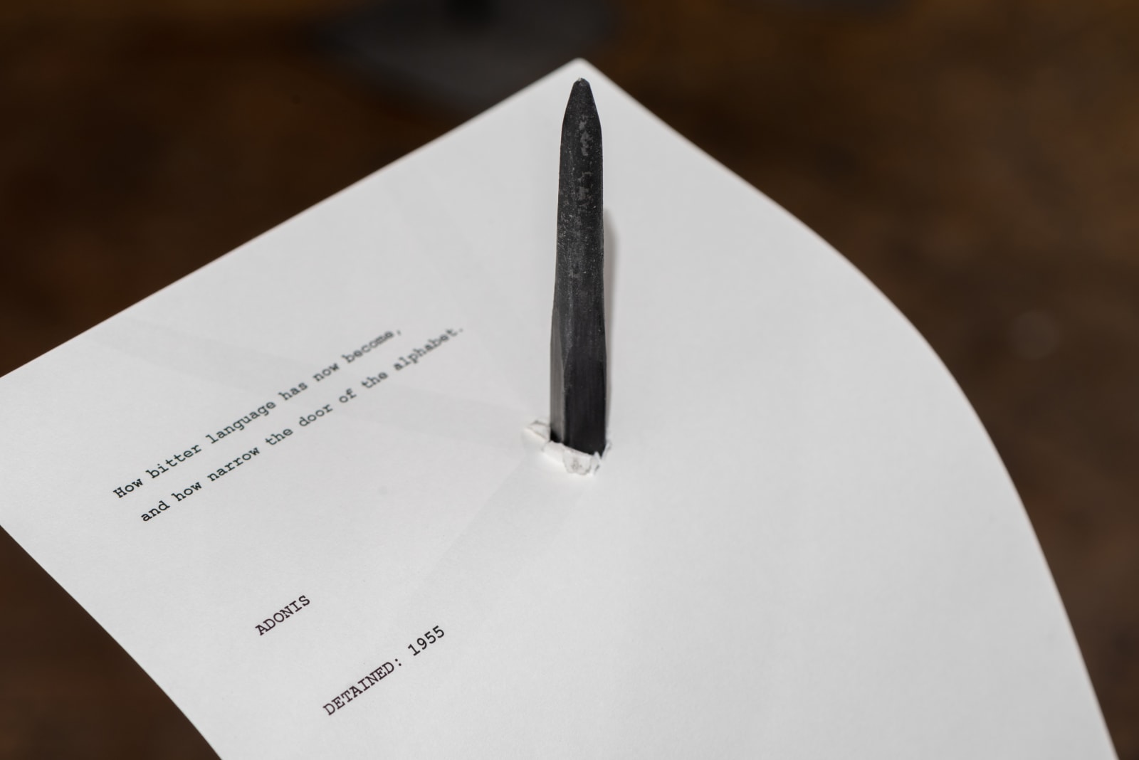 SHILPA GUPTA, For, In Your Tongue, I Cannot Fit, 2017–18