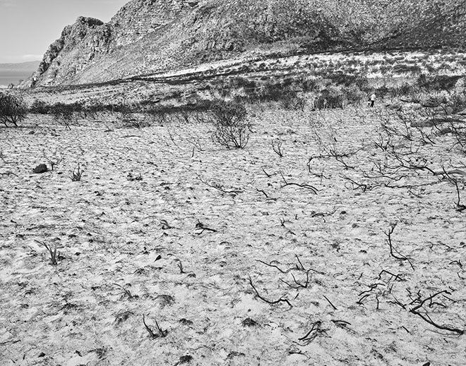 JOHN RIDDY, Peninsula (Silvermine 1), 2015