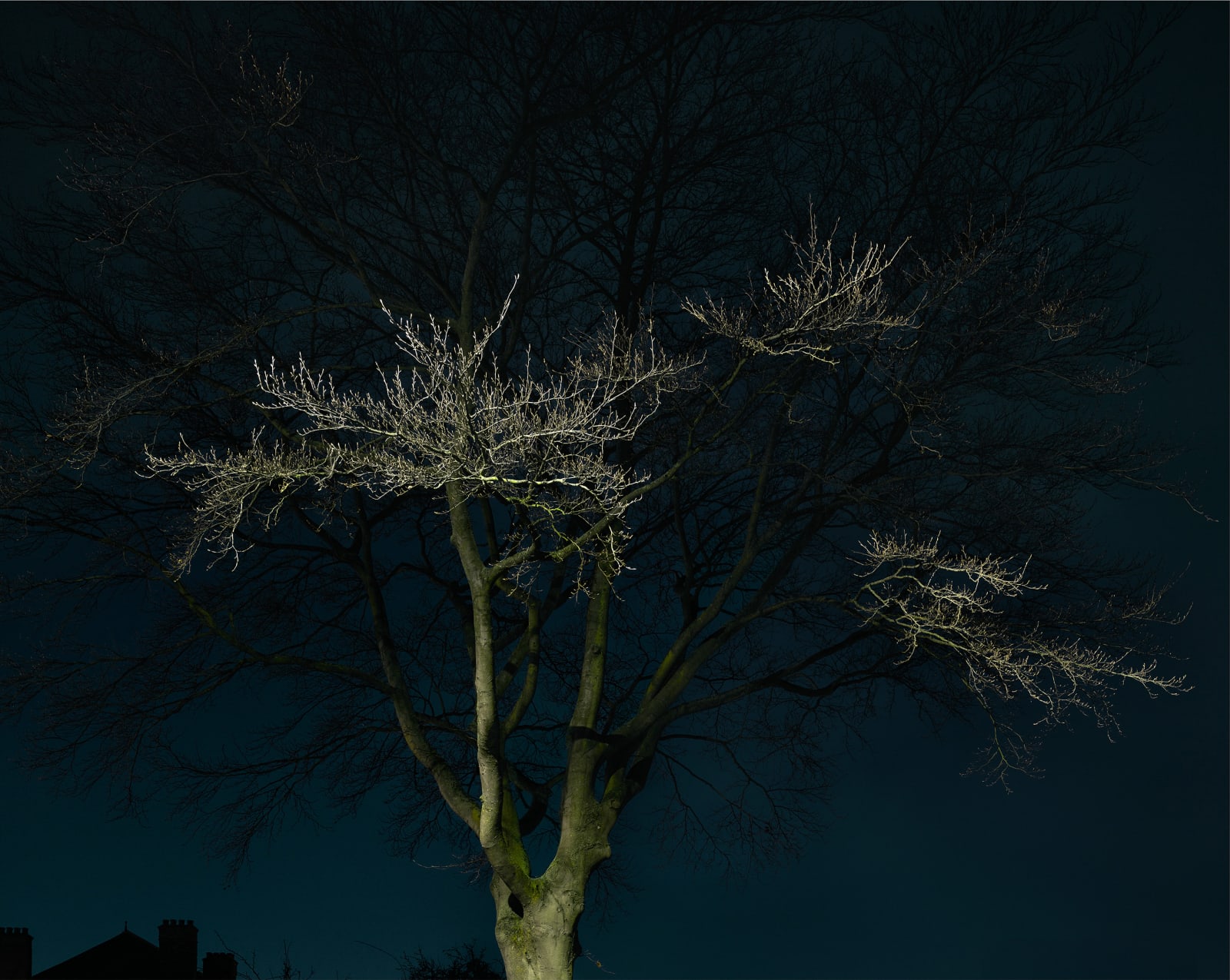 JOHN RIDDY, London (Herne Hill 1), 2017