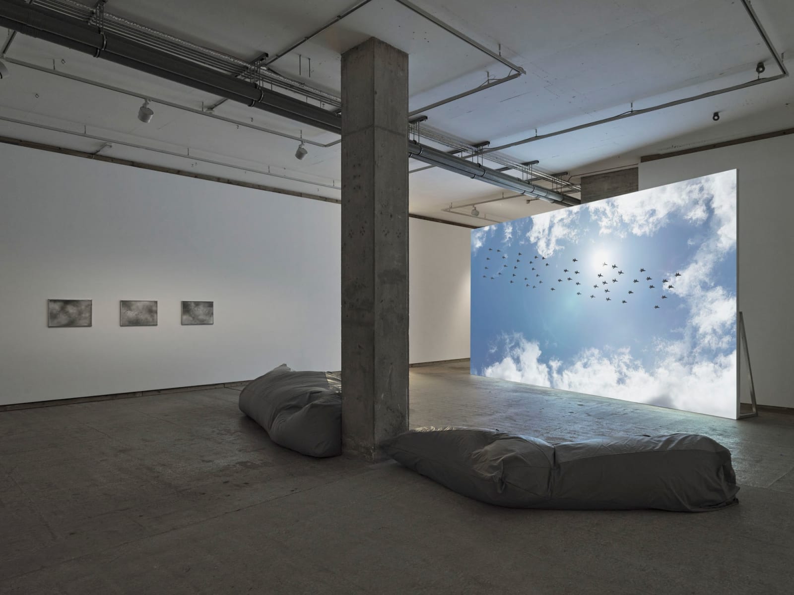 FIONA BANNER AKA THE VANITY PRESS, DISARM (landscape), 2024