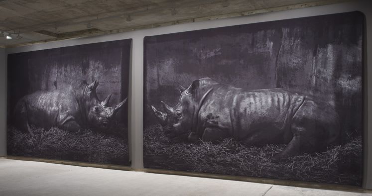 Craigie Horsfield, Zoo, Oxford. January 1990, 2008