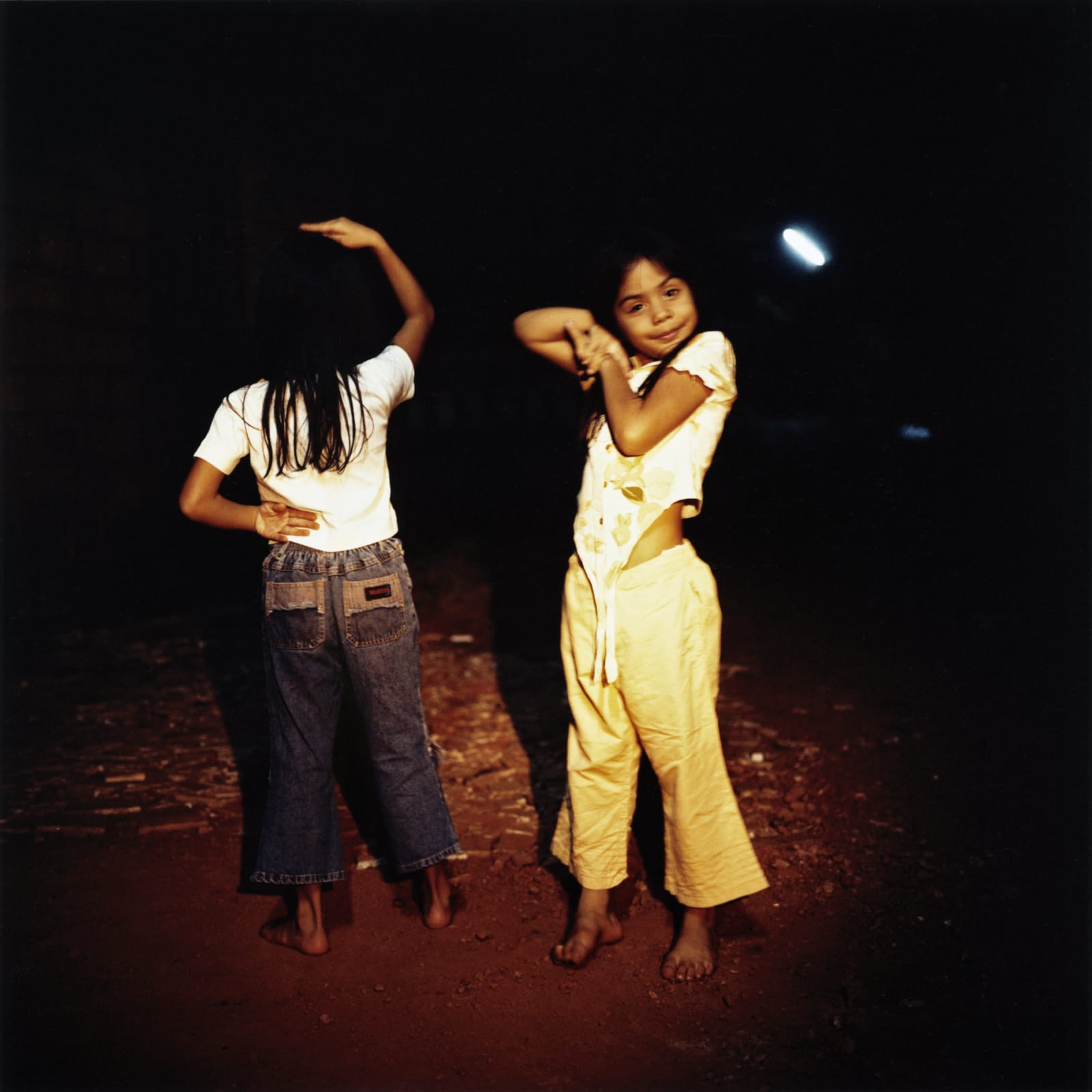 DAYANITA SINGH, Dream Villa 29, 2007, 2008