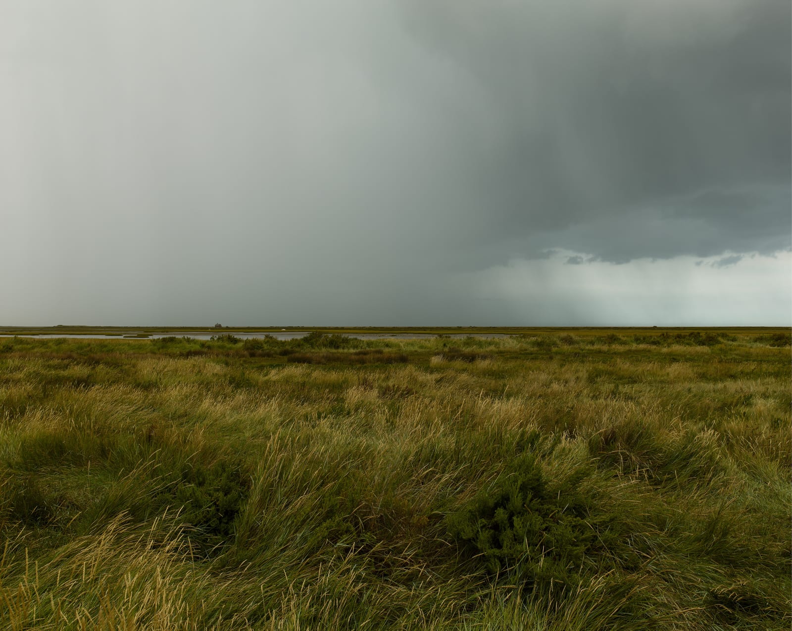 JOHN RIDDY, Blakeney (6), 2022