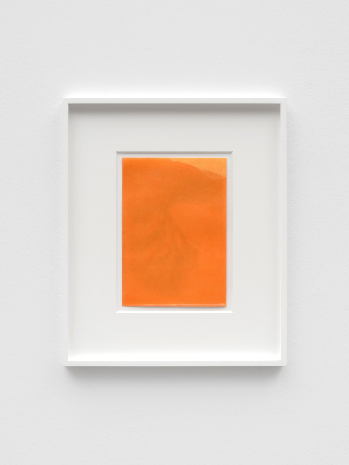 ANNA BARRIBALL, Amber (tree shadow) III, 2023
