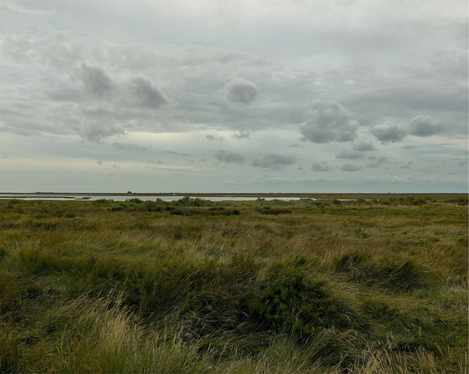 JOHN RIDDY, Blakeney, 2021–22, (Series)