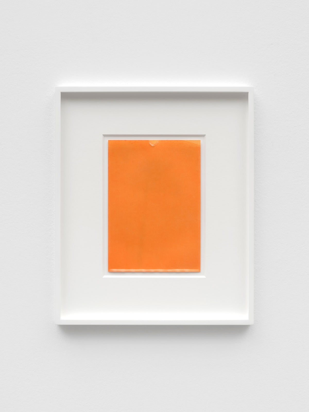 ANNA BARRIBALL, Amber (tree shadow) II, 2023