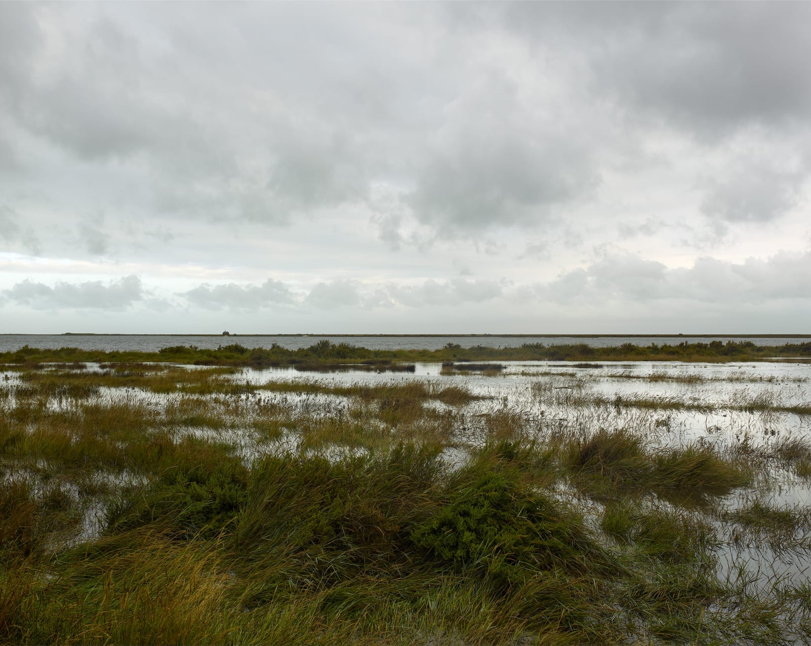 JOHN RIDDY, Blakeney, 2021–22, (Series)