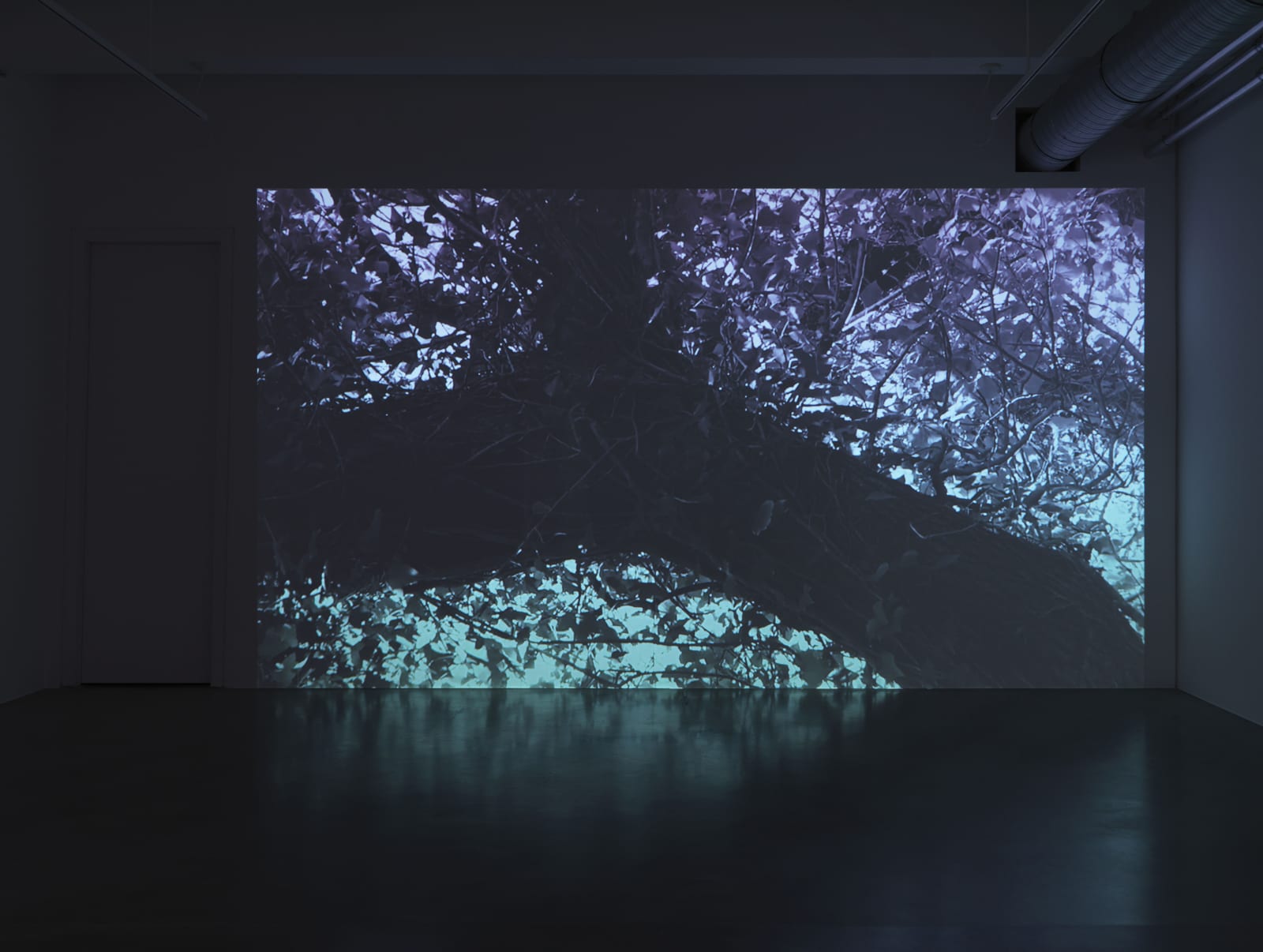 ANNA BARRIBALL, Fade, 2017