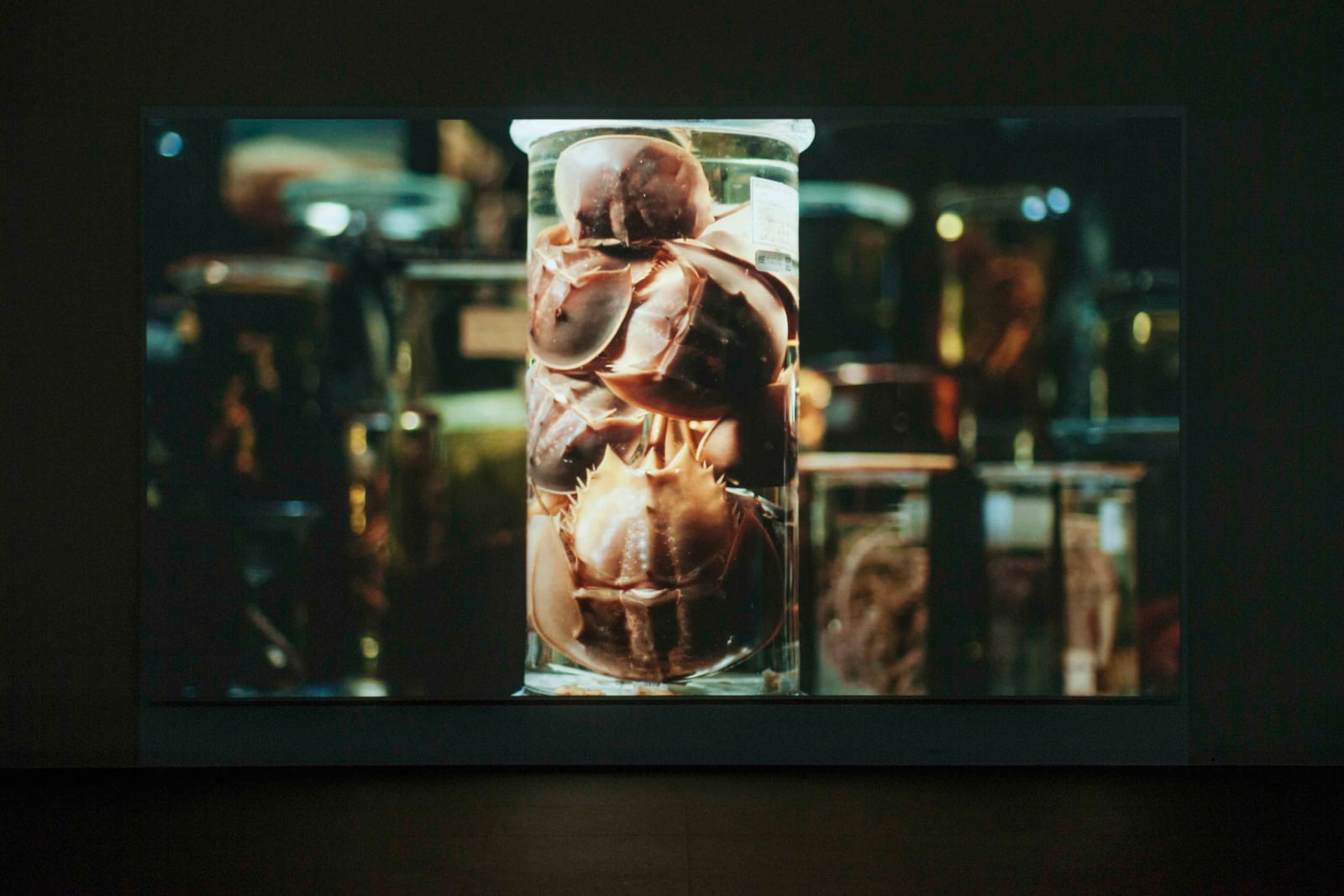 FIONA TAN, Depot, 2015