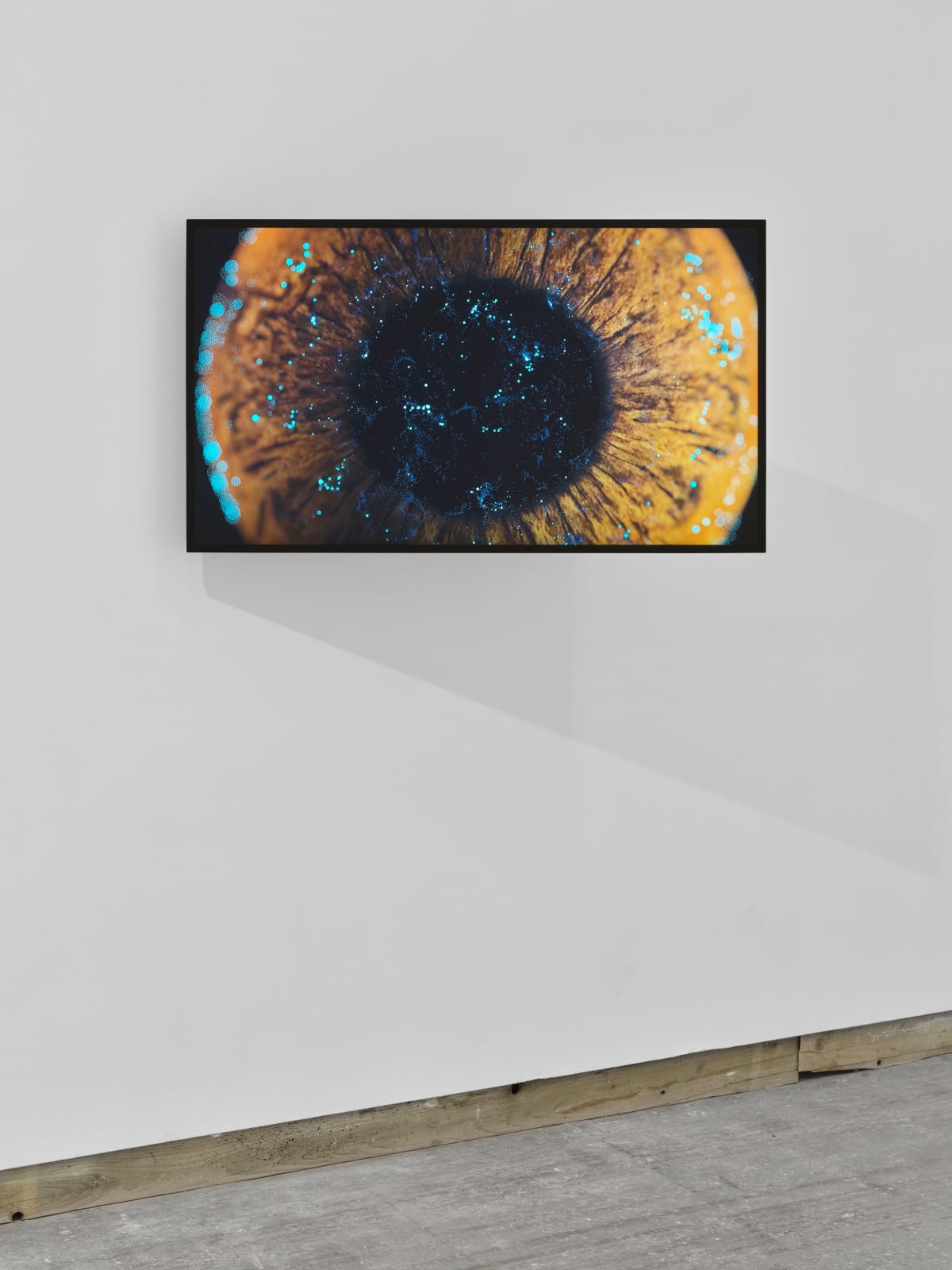 RAQS MEDIA COLLECTIVE, Unruly Iris of Dissent (U.I.D 2), 2023