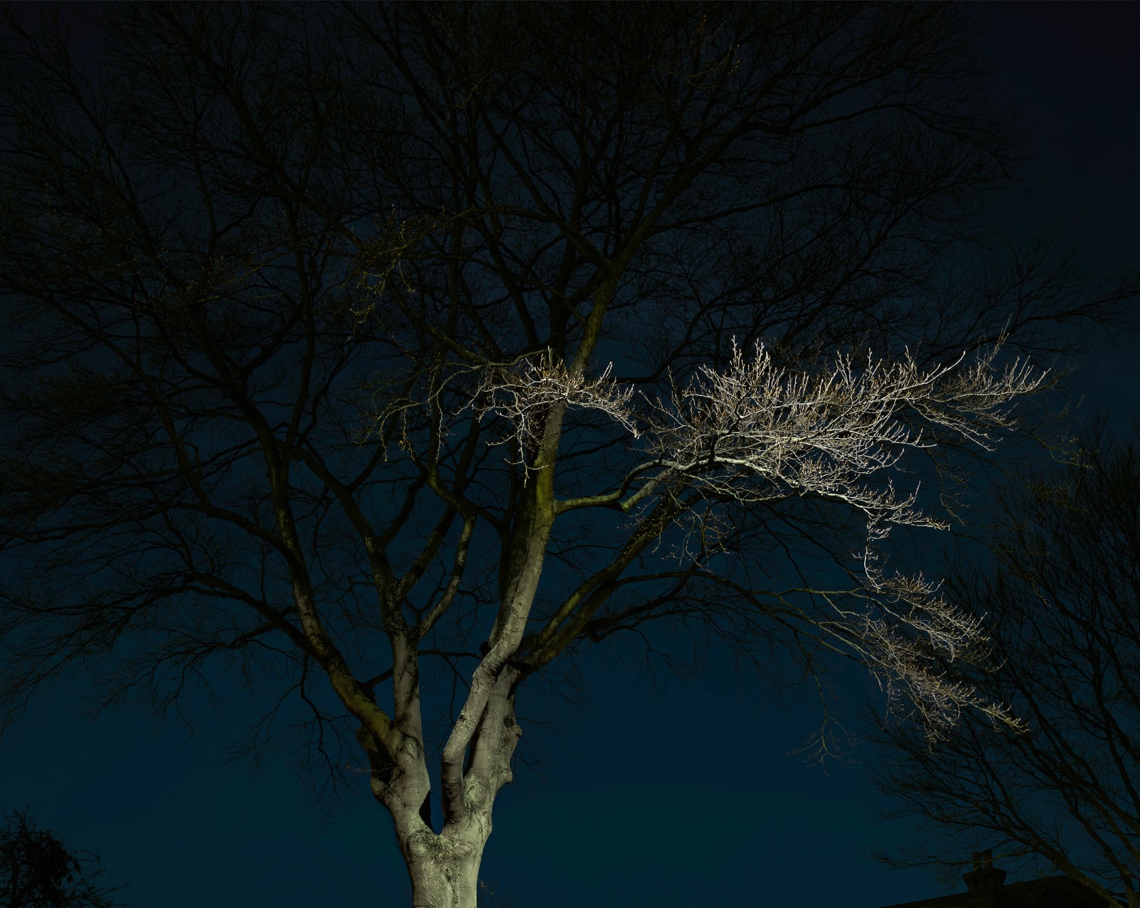 JOHN RIDDY, London (Herne Hill 2), 2017