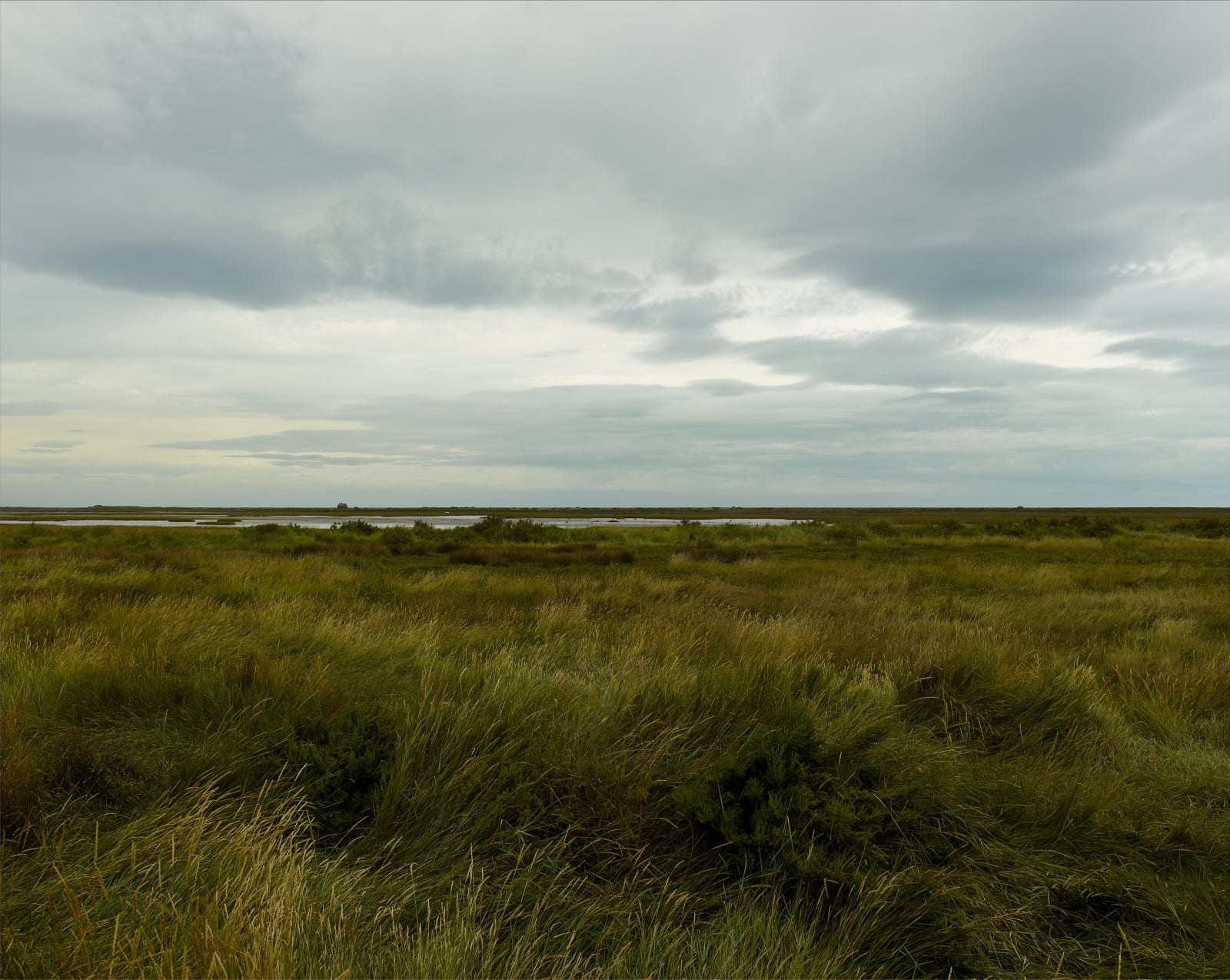JOHN RIDDY, Blakeney, 2021–22, (Series)