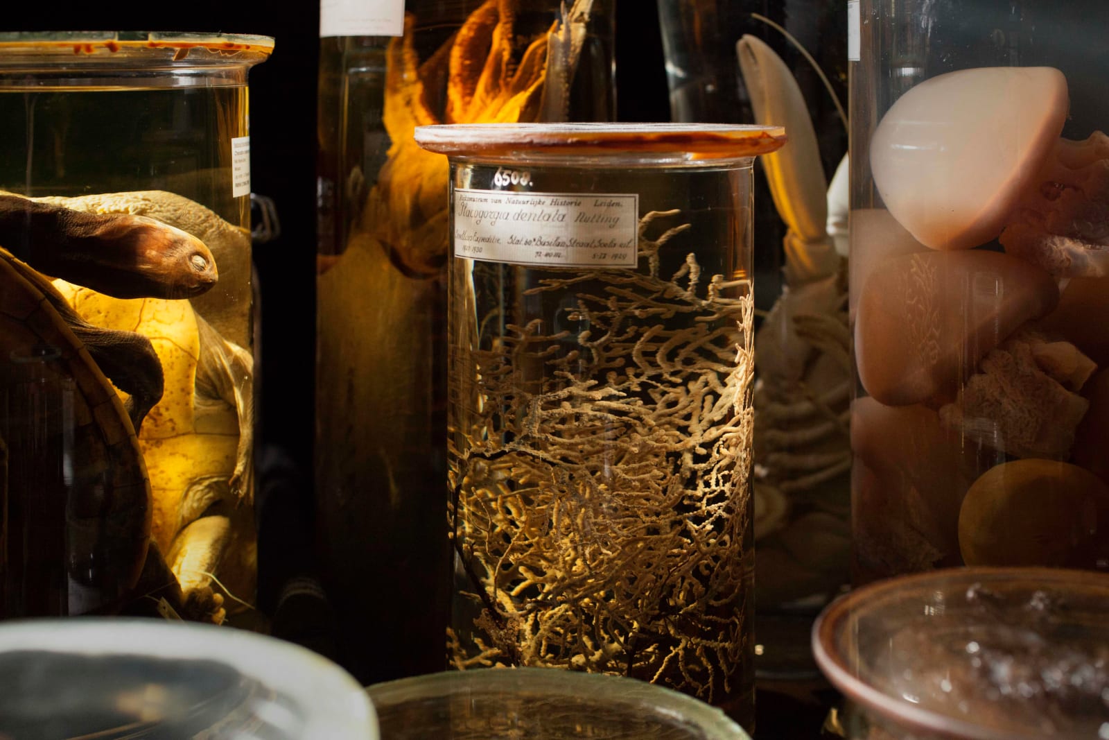 FIONA TAN, Depot, 2015